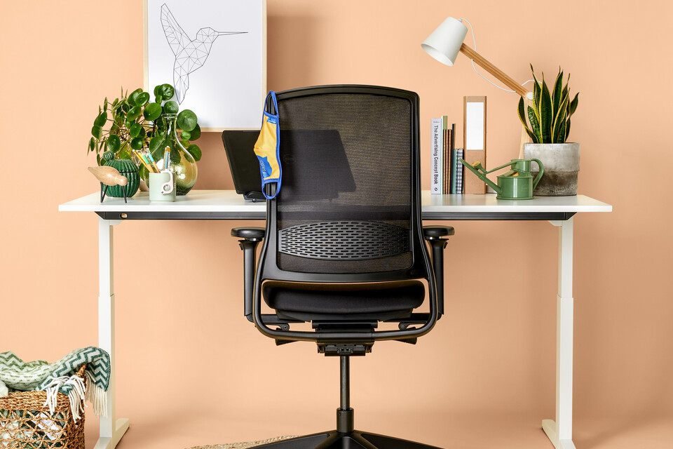 Balance, Zinn Smart 20