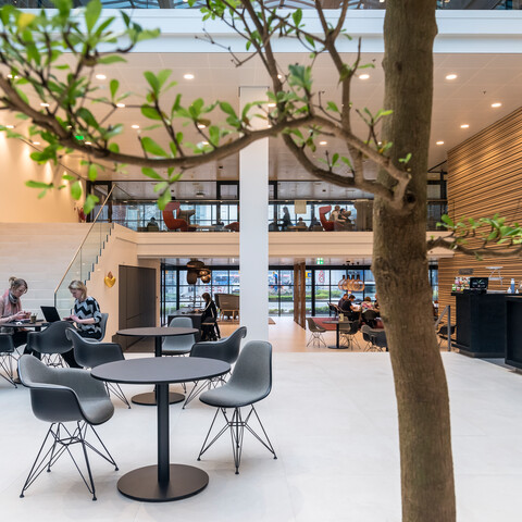 Aegon Royal Ahrend office project Aegon in Leeuwarden OTH3421