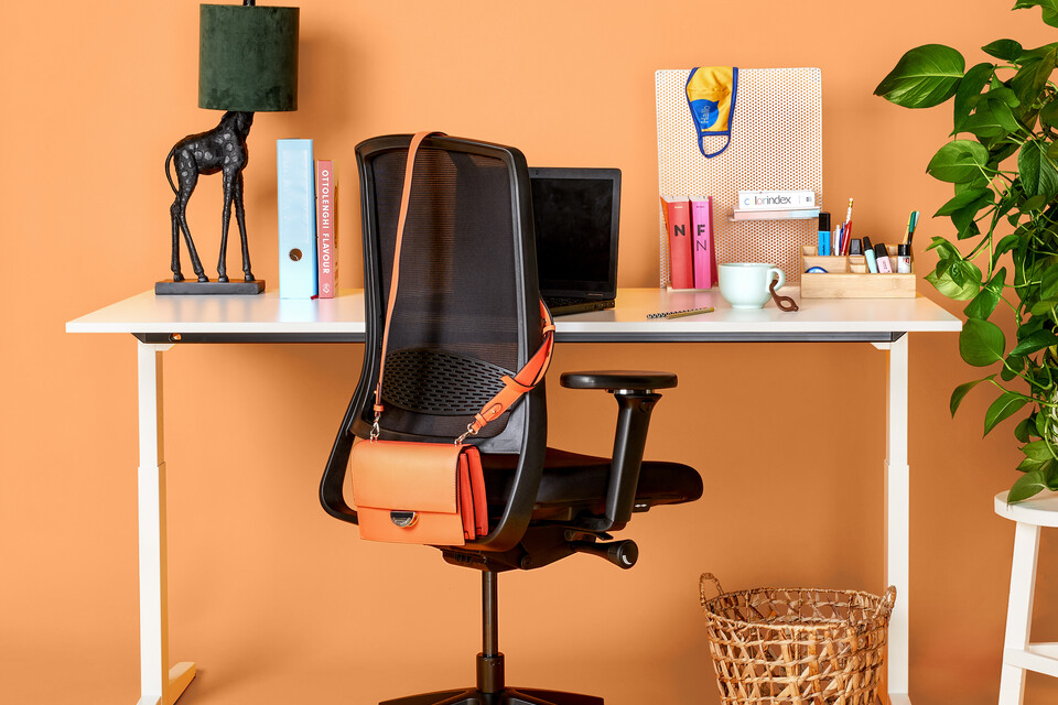 Balance, Zinn Smart 20