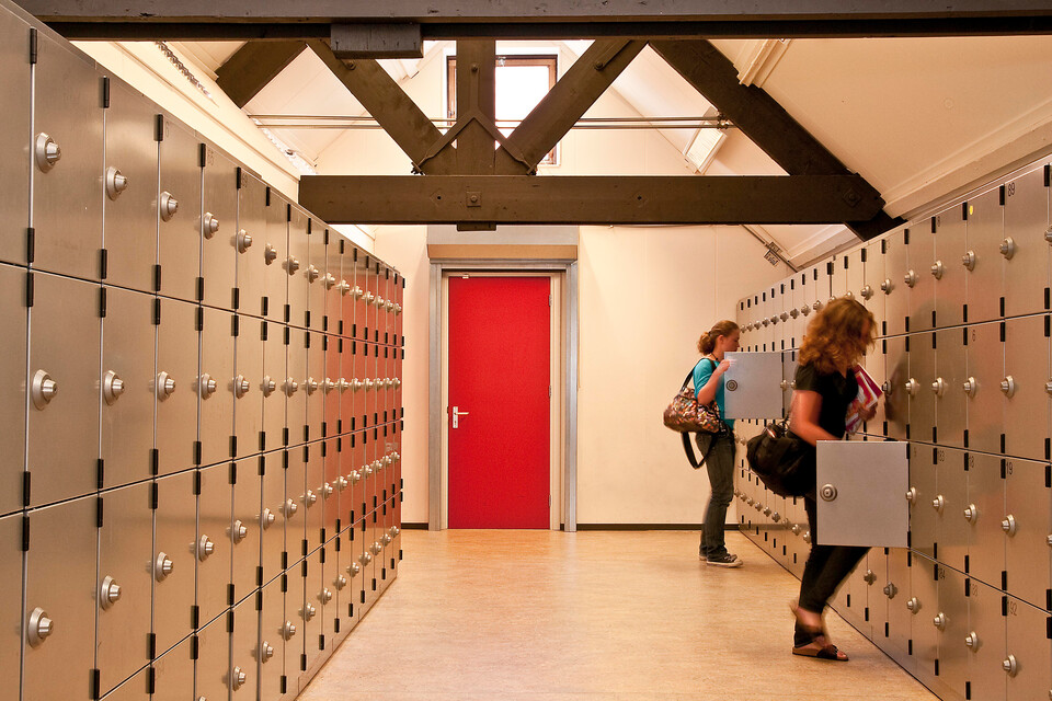 Cygnus Gymnasium
