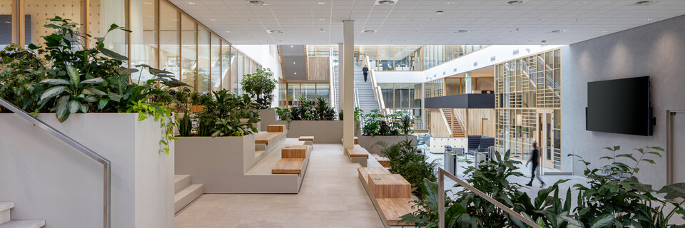 Unilever Unilever